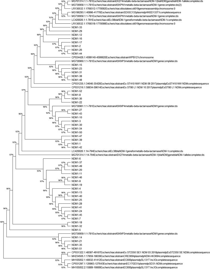 Fig. 4a