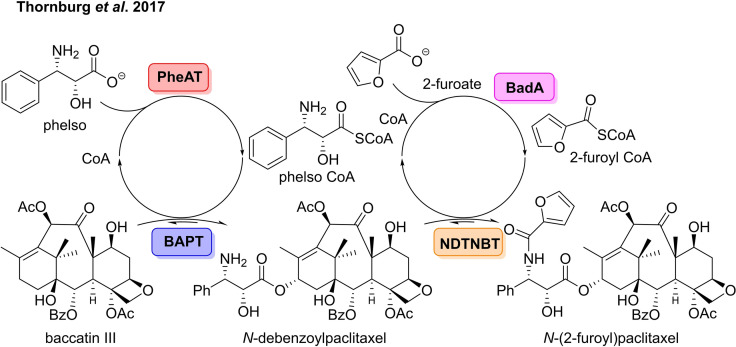 Scheme 3