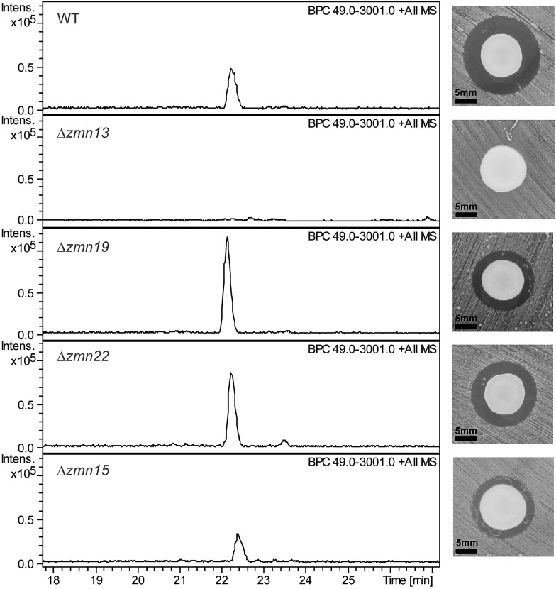 Fig. 3