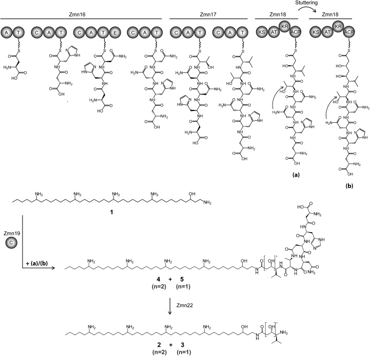 Fig. 2