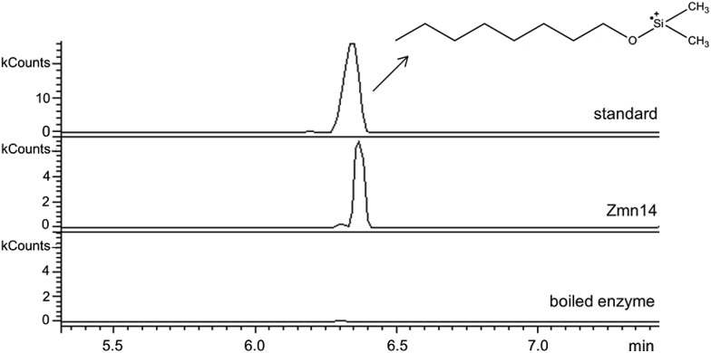 Fig. 5