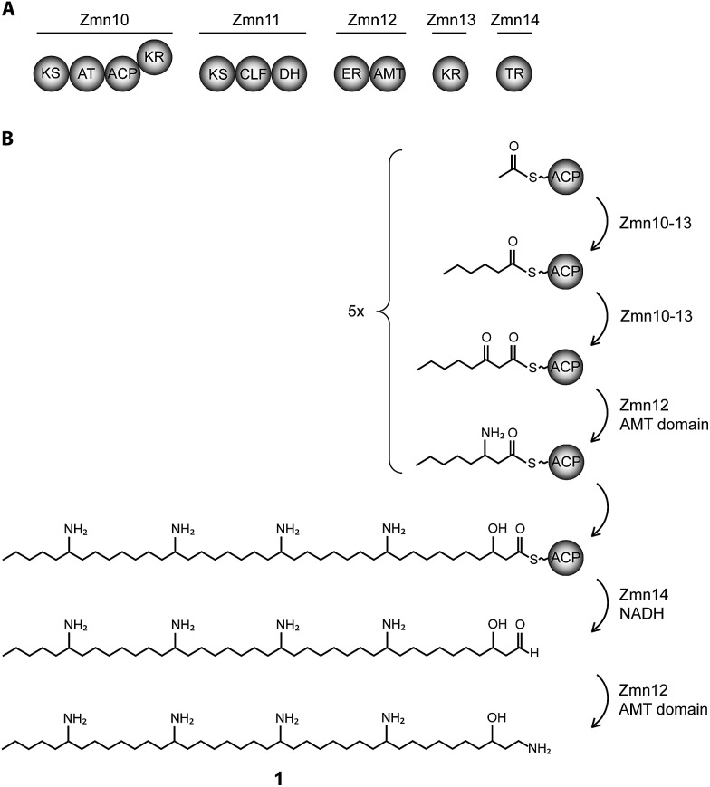 Fig. 1