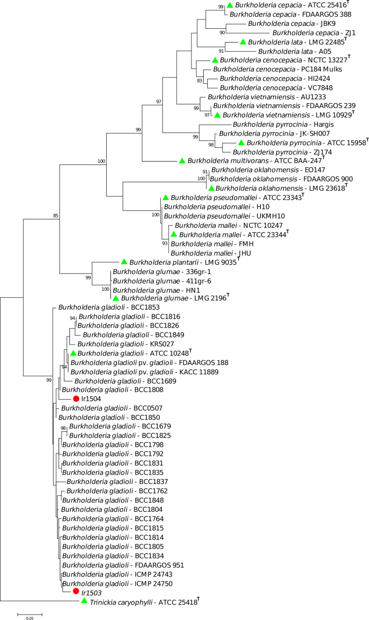 Fig 4