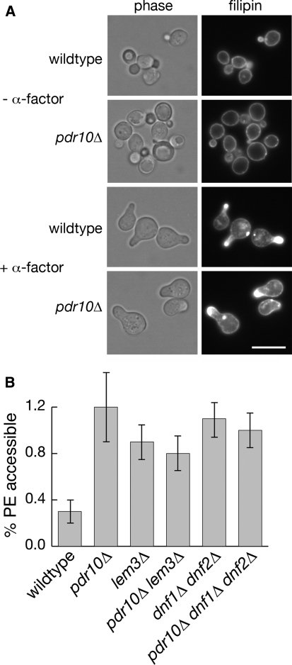 Fig. 6