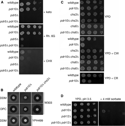 Fig. 2