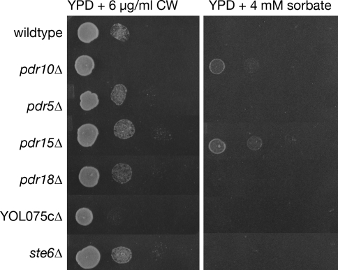 Fig. 3