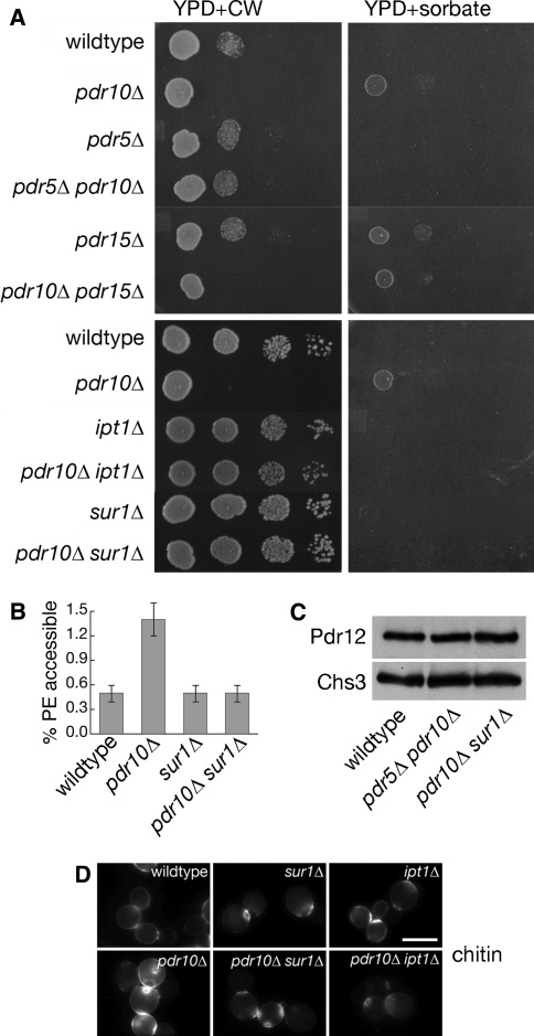 Fig. 12