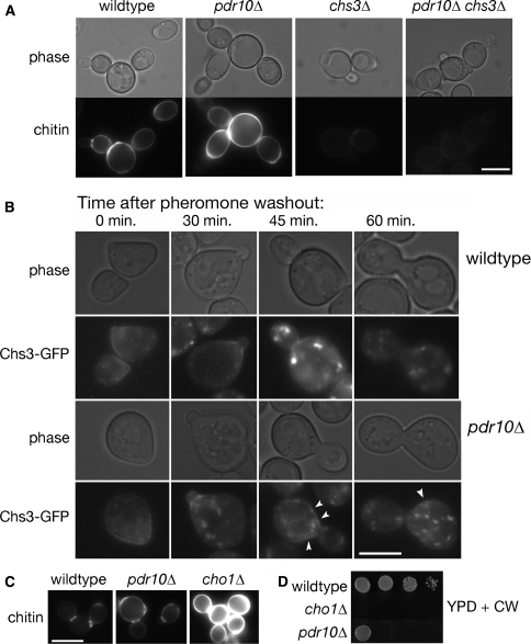 Fig. 4