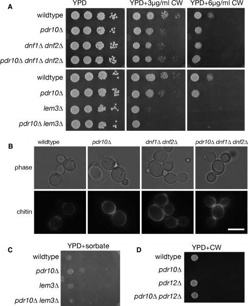 Fig. 9