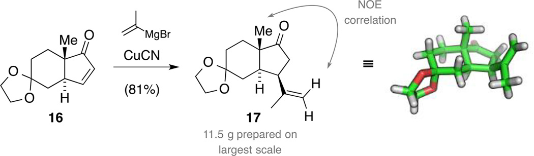 Scheme 5