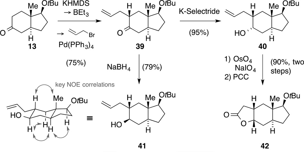 Scheme 12