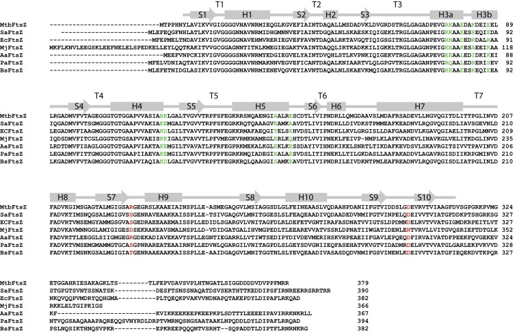 Figure 1—figure supplement 1.