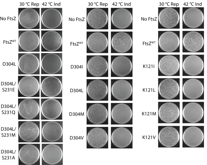 Figure 5.