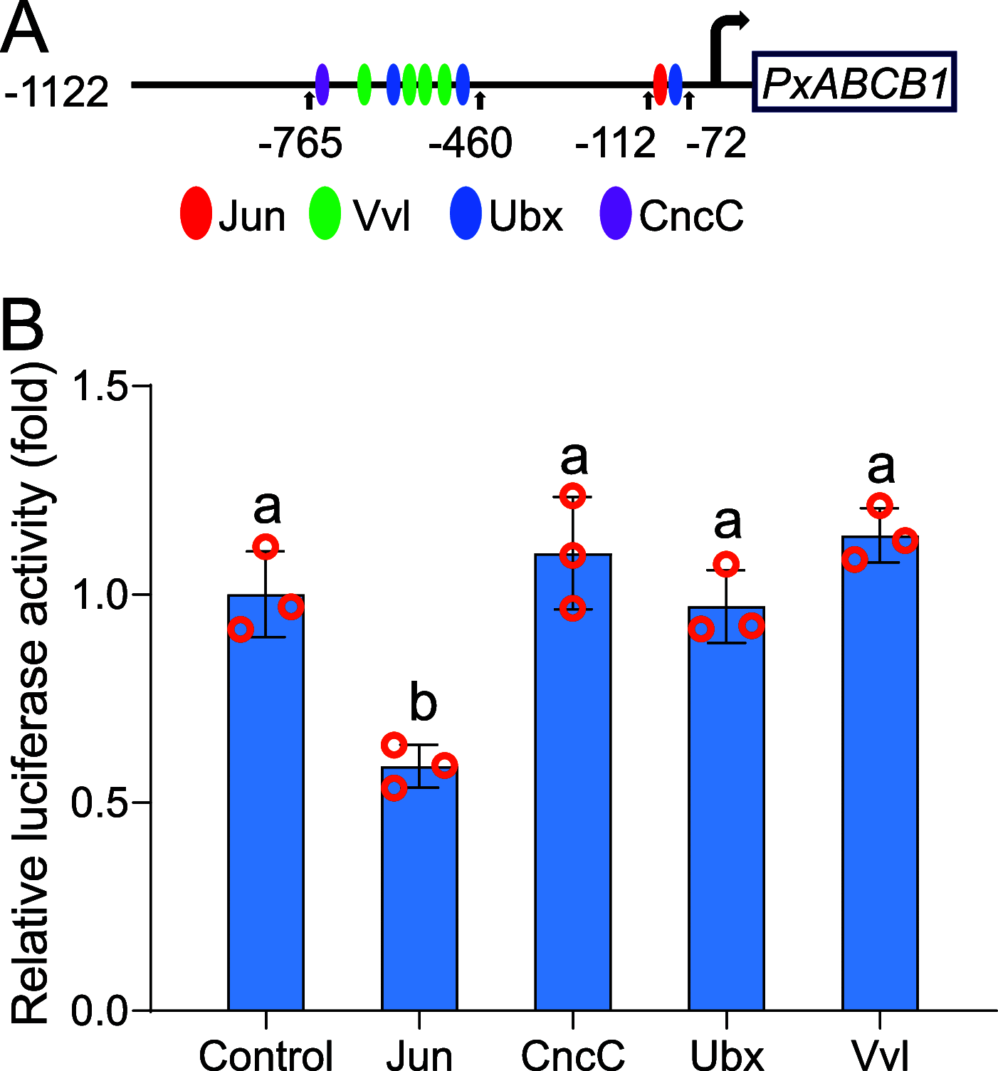 FIG 3