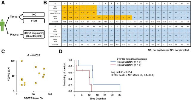 Figure 2. Comparative analysis of paired tissue and plasma samples in patients with advanced gastric cancer. A, Schematic depicting analyses of paired synchronous primary tissue and plasma samples in 44 patients with advanced gastric cancer. B, FGFR2 amplification status based on IHC (score), FISH (FGFR2/CEP10 ratio), and Guardant360 (pCN). Yellow boxes indicate high FGFR2 expression for tissue IHC score and FGFR2 amplification for tissue FISH or ctDNA sequencing. Low FGFR2 expression and no FGFR2 amplification are indicated by blue boxes. C, Correlations [coefficient of determination (r2)] between FGFR2 pCN and tissue CN for patients with FGFR2 amplification detected in ctDNA. D, OS based on the Kaplan–Meier method for patients with FGFR2 amplification detected in tissue+ctDNA+ versus in tissue−ctDNA+. max VAF, maximum variant allele frequency.