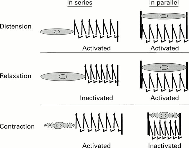 Figure 3  