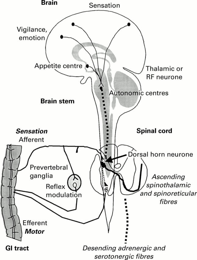 Figure 1  