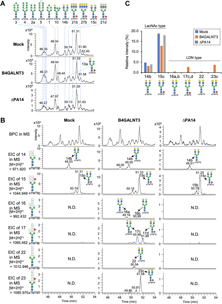 Figure 4