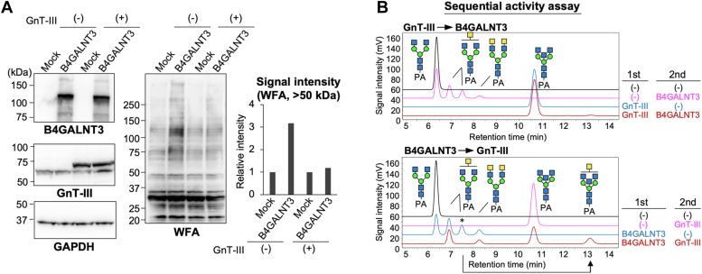 Figure 5