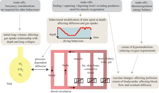 Figure 3.