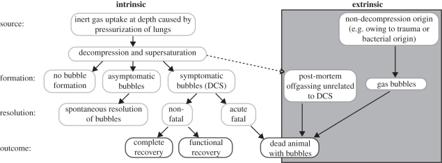 Figure 2.