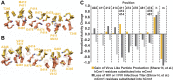 Figure 2—figure supplement 3.