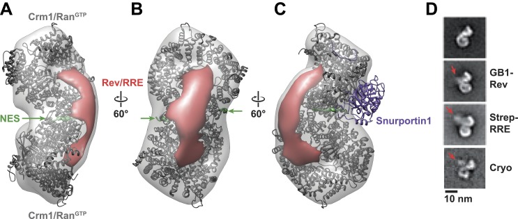 Figure 3.