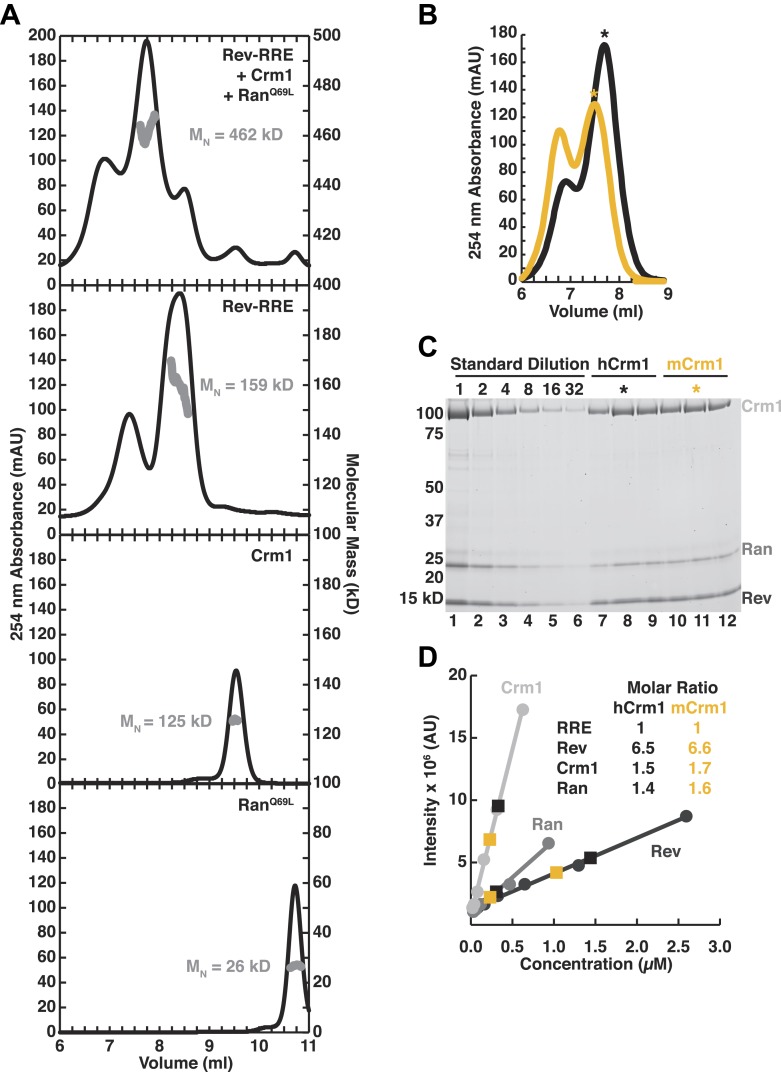 Figure 1—figure supplement 1.