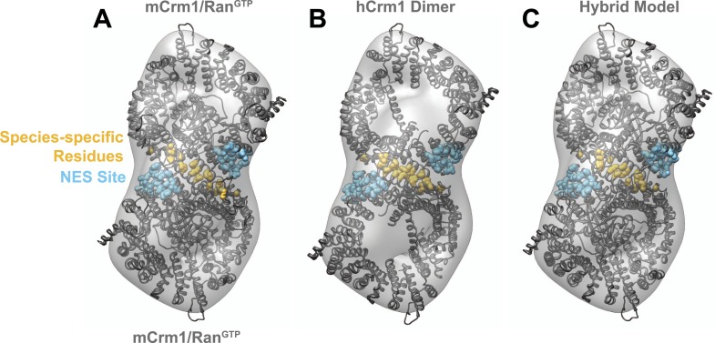 Figure 2—figure supplement 2.