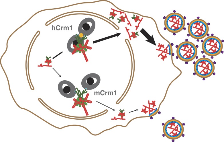 Figure 4.