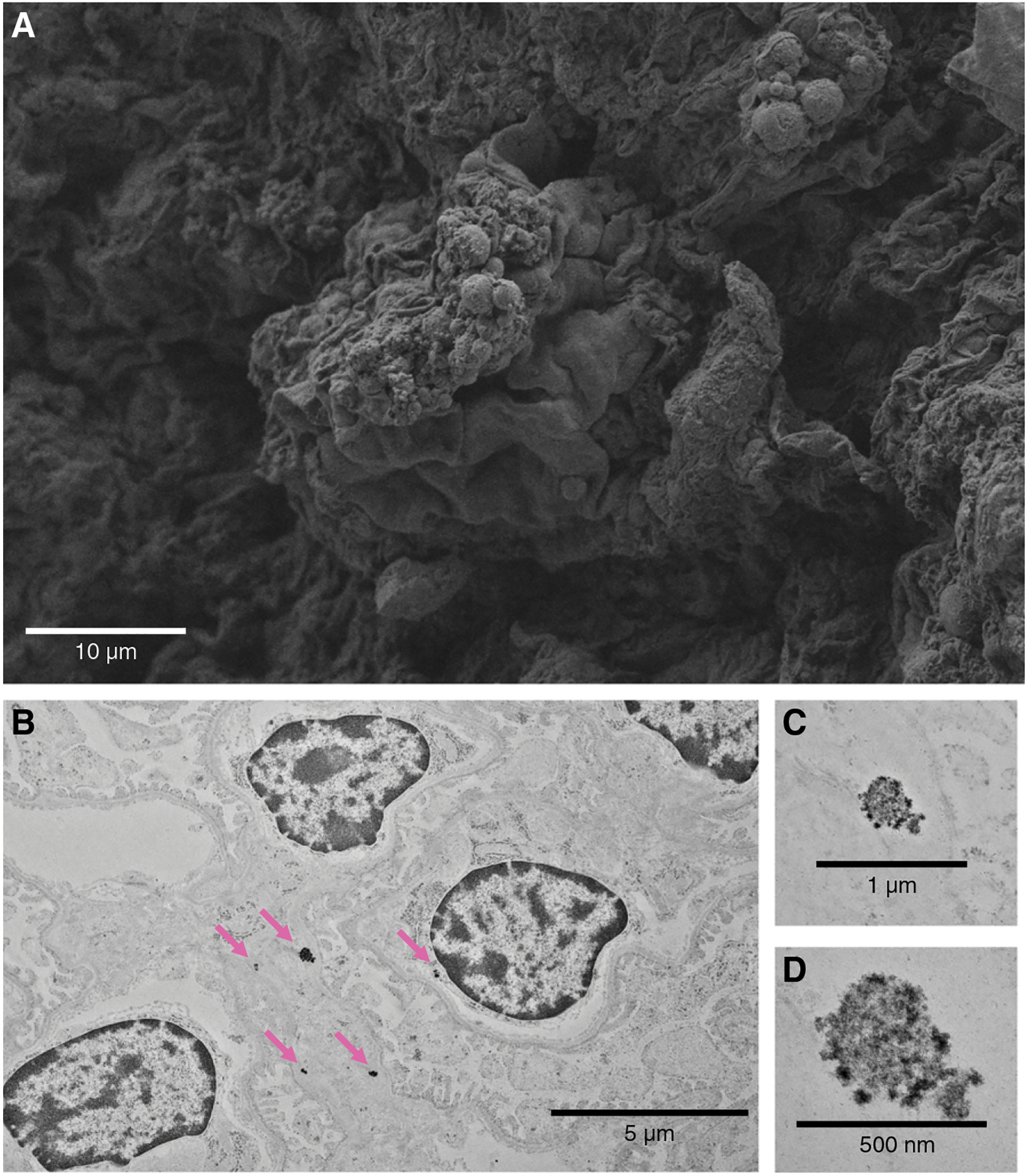 Figure 2. |