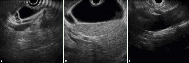 Fig. 5