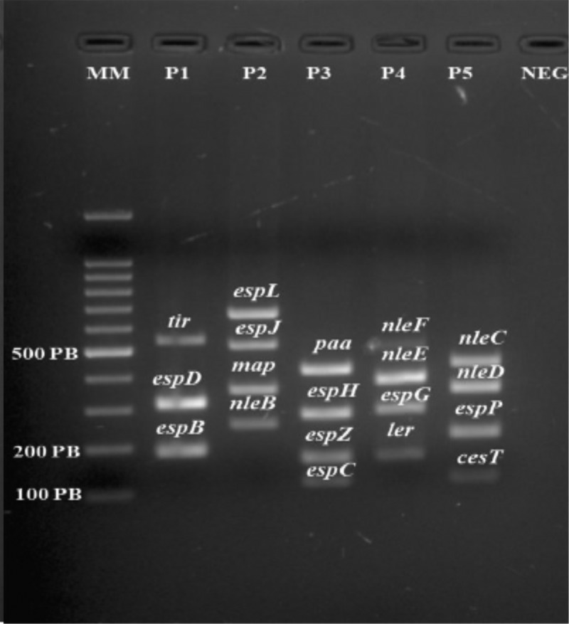 FIG 2