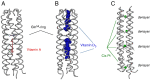 Fig. 4