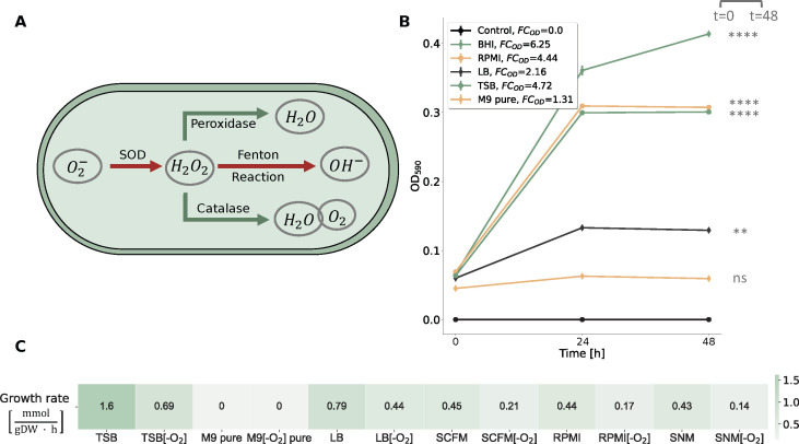 Fig 4