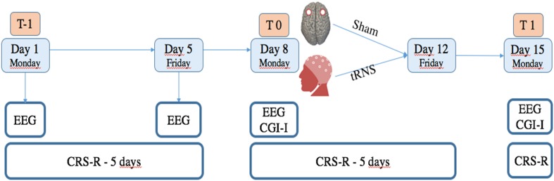 FIGURE 1