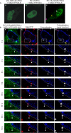 FIG 2