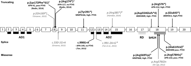 Fig. 1