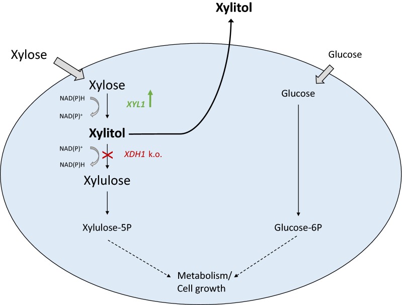 Fig. 1