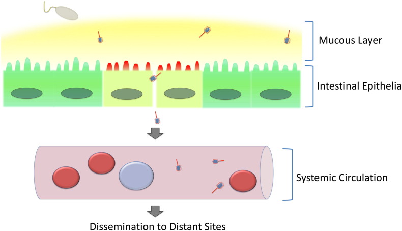 Fig. 1