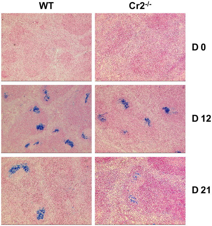 Figure 9.