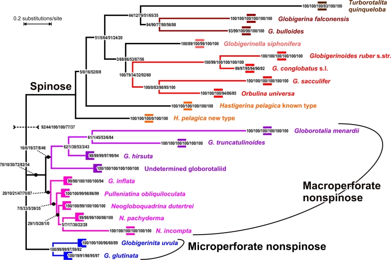 Figure 3.