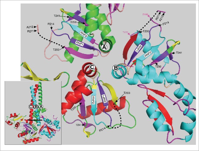 Figure 3.