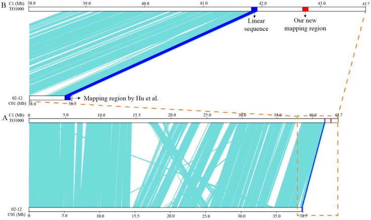 Figure 7