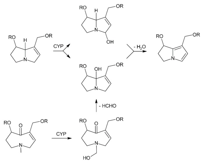 Figure 16