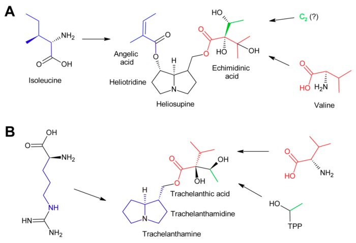 Figure 12