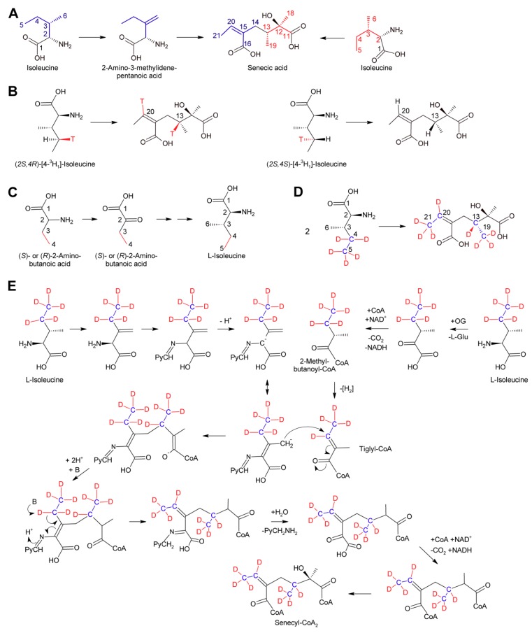 Figure 14