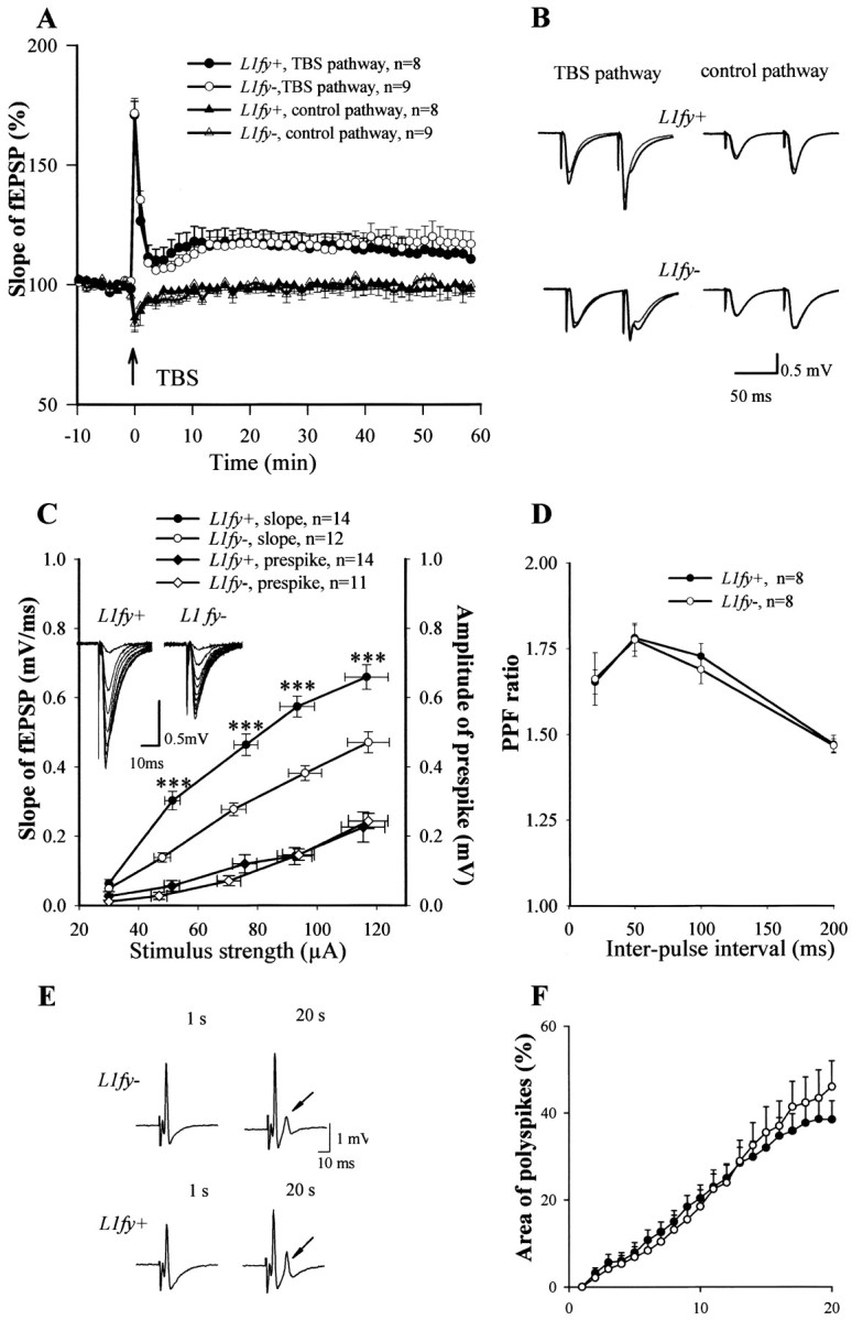 Figure 10.