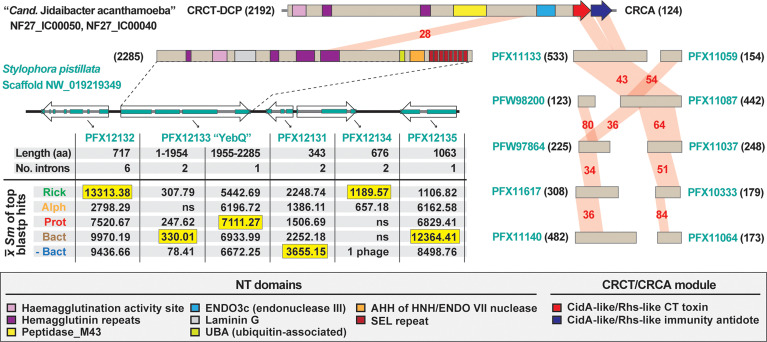 Figure 4