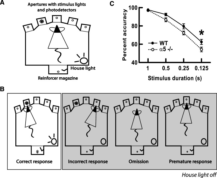 Fig. 4